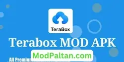 Terabox Mod Apk 4